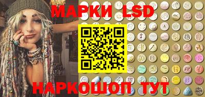 амф Донской