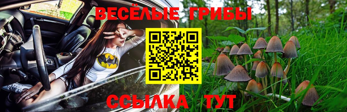 Галлюциногенные грибы Cubensis  Вход с VPN  Лянтор  Псилоцибиновые грибы мицелий 